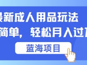 成人用品赚钱项目：简单操作日入千元，新手轻松上手揭秘-54创业网