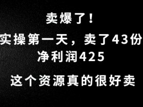 实操第一天卖43份赚425元：揭秘需求超大的暴利资源-54创业网