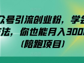 公众号引流创业粉月入3万秘籍：陪跑项目实操指南，轻松变现-54创业网