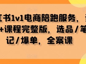 1v1电商陪跑课：小红书选品+爆单技巧，全案资料课程完整版-54创业网