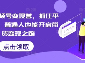 微信视频号变现营：普通人0基础带货赚钱，抓住平台红利快速变现-54创业网