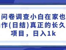 国内问卷调查赚钱：小白在家日入1k的稳定项目(日结)【揭秘】-54创业网