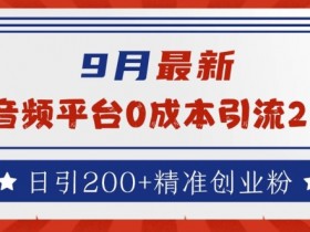 9月最新音频平台0成本引流秘籍：日引200+精准创业粉实战分享-54创业网