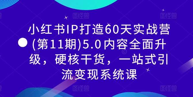 60天小红书IP打造实战营：5.0升级版硬核干货，一站式引流变现系统课-54创业网