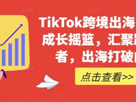 TikTok跨境出海电商培训：跨境强者成长摇篮，出海破局打破内卷-54创业网