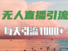 抖音快手视频号无人直播引流秘籍：暴力日引1000+精准创业粉实操-54创业网