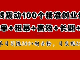 1块钱撬动100个精准创业粉：日引流500+变现2k的暴力玩法揭秘-54创业网