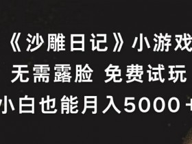 沙雕日记小游戏赚钱攻略：不露脸轻松月入5000+，新手必看免费试玩-54创业网