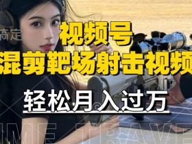 海外靶场射击视频赚钱：宝妈上班族轻松赚视频号分成【揭秘】-54创业网