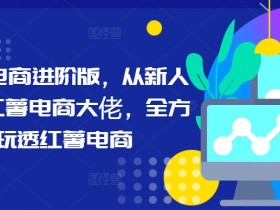 小红书电商教程：零基础速成电商大佬，玩转红薯电商全攻略-54创业网
