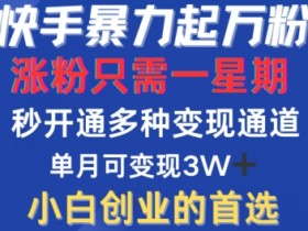 快手涨粉秘籍：1周暴力起万粉，多种变现模式，单月轻松过W【揭秘】-54创业网
