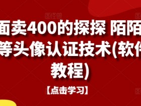 外面卖400的探探陌陌积木头像认证技术：软件+教程全套搞定-54创业网