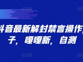 9.21抖音解封禁言最新方法：新口子实测有效，嘎嘎稳！-54创业网