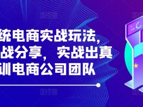 31天电商实战系统玩法：团队培训高效转化，实战分享真知-54创业网