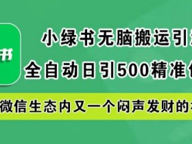 小绿书搬运创业粉：全自动日引500精准流量，微信生态闷声发财项目揭秘-54创业网