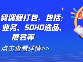 外贸课程全套：背调、业务、SOHO选品、展会实战技巧-54创业网