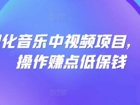 可视化音乐视频制作：无脑操作轻松赚低保钱-54创业网