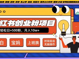 小红书创业粉项目：日涨500粉躺赚长尾收益，20分钟无脑操作，宝妈小白速来！-54创业网