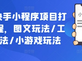 抖音快手小程序开发教程：图文/工具/小游戏3种玩法实战教学-54创业网