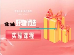 TikTok好物分享实操课：爆款选品与带货技巧全攻略-54创业网