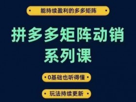 拼多多矩阵动销课：0基础玩转持续盈利的多多矩阵，玩法实时更新-54创业网