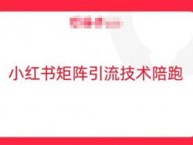 小红书矩阵引流技术：3招玩转流量，轻松涨粉爆单！-54创业网
