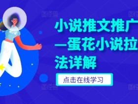 蛋花小说拉新推广技巧：小说推文赚钱玩法全攻略-54创业网