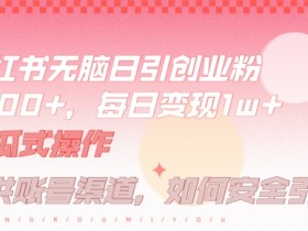 小红书创业粉引流秘籍：每天半小时躺赚500+长尾收益-54创业网