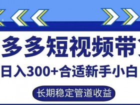 拼多多短视频带货赚钱：新手小白日入300+稳定被动收益揭秘-54创业网
