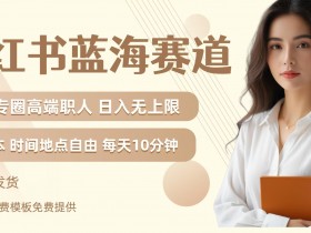 职场精英必看：小红书蓝海赛道矩阵玩法，轻松月入无上限（附私域实操教程）-54创业网