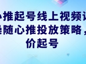 随心推投放策略实操课：正价起号技巧，线上视频教学轻松掌握-54创业网