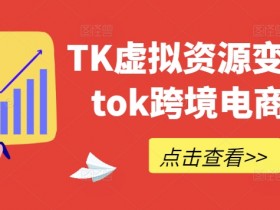 TikTok虚拟资源变现教程：跨境电商赚钱实战指南-54创业网