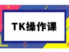 TikTok跨境电商教程：TK运营实操课（持续更新）-54创业网
