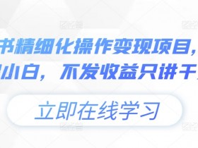 0基础小白必看：小绿书精细化操作变现项目，纯干货无水分-54创业网