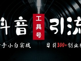 2024抖音工具号引流实战：日引300+创业粉，小白当天变现5k秘籍-54创业网