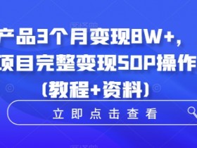 小学教辅项目3个月赚8万：虚拟产品变现SOP教程+资料包-54创业网