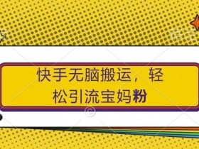 快手宝妈粉引流秘籍：无脑搬运轻松上手，小白也能日赚500+-54创业网