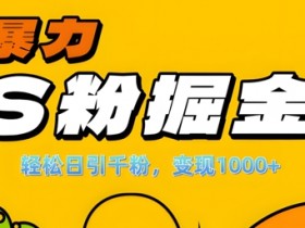 单人单机日引千粉变现1k+：S粉流量掘金计划全攻略-54创业网