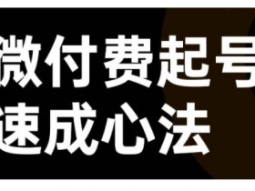 视频号直播+抖音直播微付费起号速成课：7天快速起号心法-54创业网