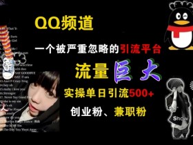QQ频道引流秘籍：单日500+创业粉兼职粉实操，被忽略的流量巨池！-54创业网