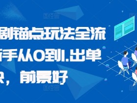 番茄短剧锚点玩法：新手0基础速成，出单快前景好！-54创业网