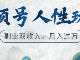 视频号赚钱秘籍：起号快、广告双收的副业人性化玩法大揭秘-54创业网