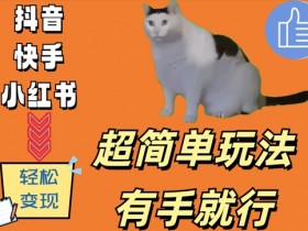 猫咪视频赚钱秘籍：超简单玩法，日入500+有手就行！-54创业网