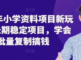 2024小学资料赚钱项目：长期稳定可复制，新手轻松批量搞钱-54创业网