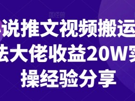 小说推文搬运赚钱：20W大佬实战经验分享，新手必看！-54创业网