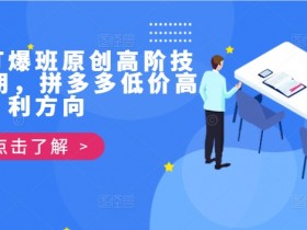 拼多多低价高利技术：39期打爆班原创高阶玩法-54创业网