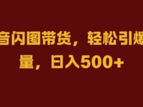 抖音闪图带货赚钱秘籍：3步引爆流量，日入5000+实战教程-54创业网