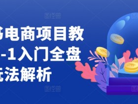 小红书电商0-1运营教程：新手入门全盘玩法实战解析-54创业网