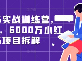 6000万小红书项目拆解：0基础实战训练营，手把手教你运营爆款-54创业网