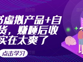 小红书虚拟产品自动发货：轻松赚取睡后收入，爽翻天！-54创业网